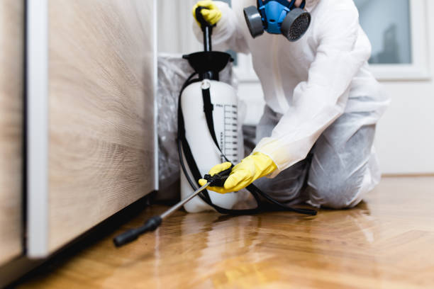 Best Termite Control Services  in Cypress Quarters, FL
