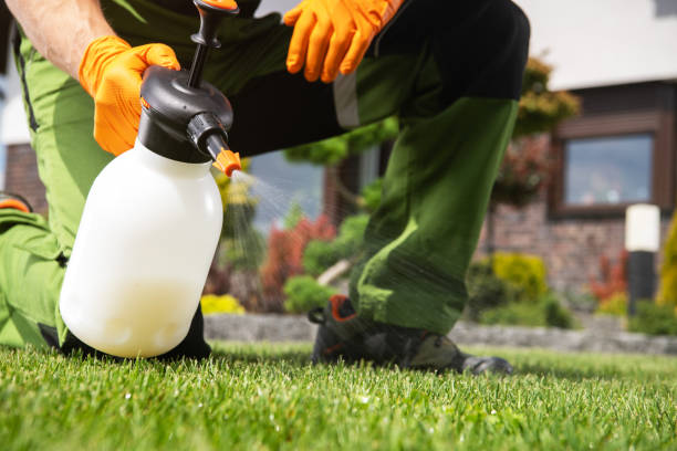 Best Residential Pest Control  in Cypress Quarters, FL